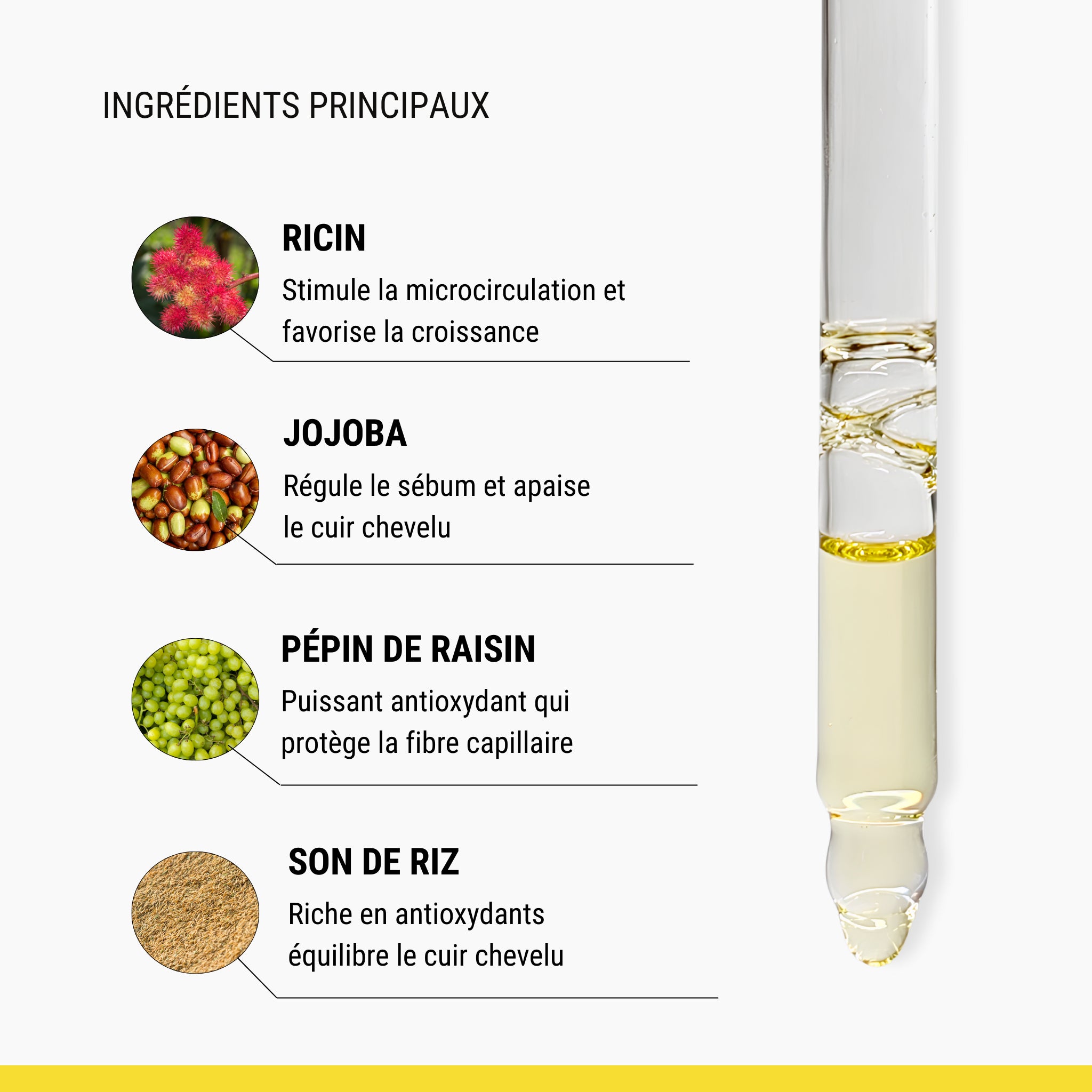 Ingrédients actifs du Concentré Stimulant Nativence Lab, huile de ricin, jojoba, pépin de raisin et son de riz