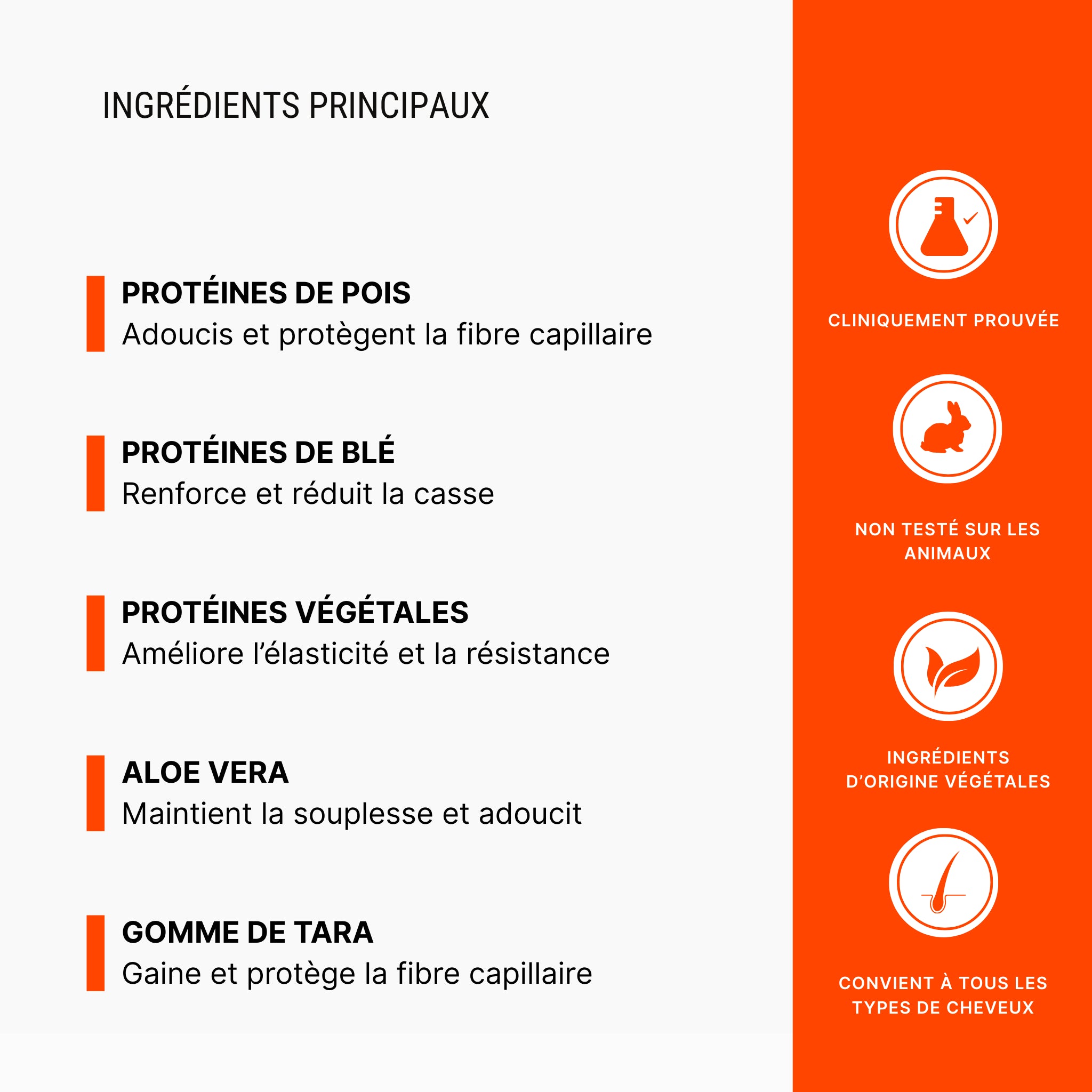 Détails des ingrédients de la gelée capillaire de nativence lab 