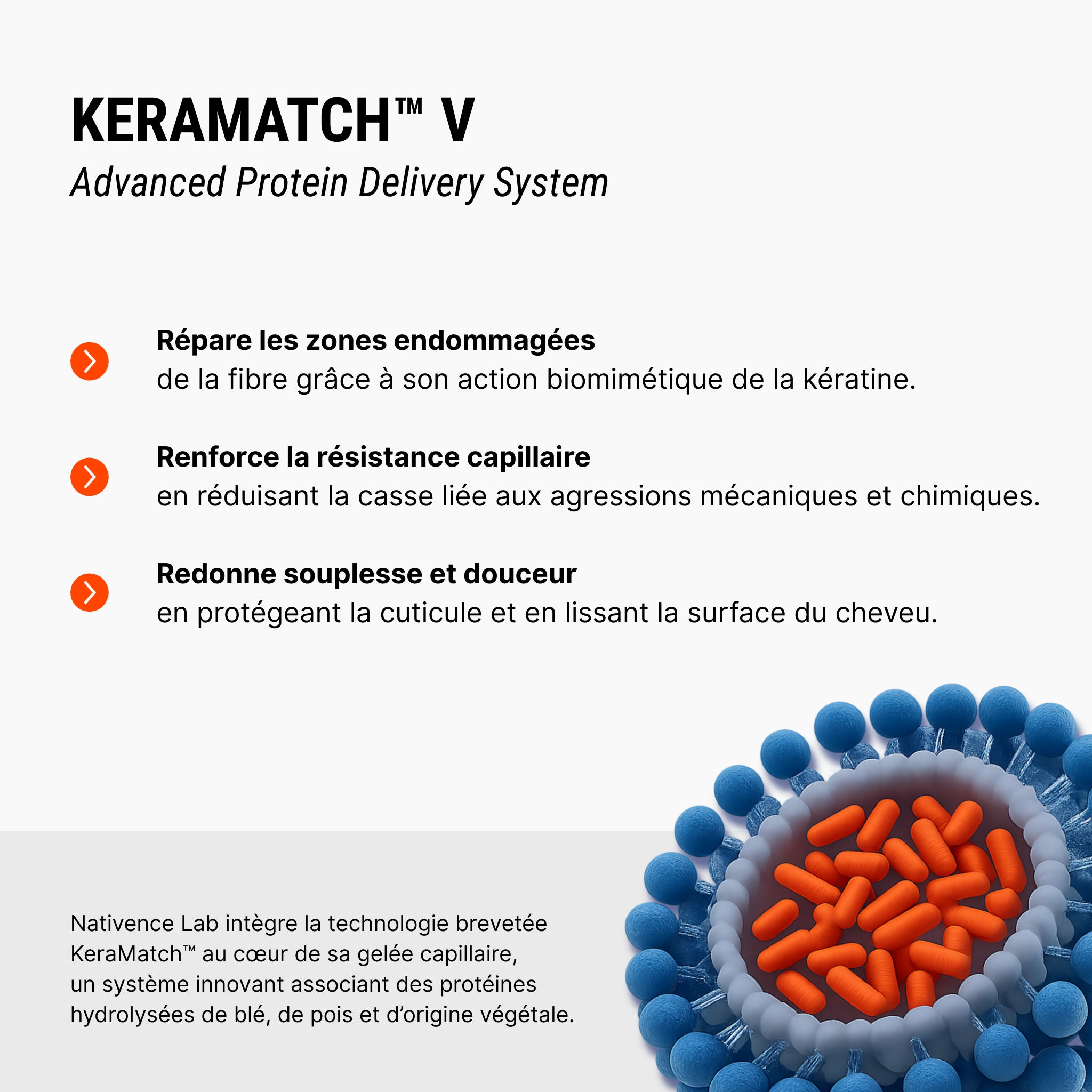 Details des bienfaits du keramatch_v sur la fibre capillaire